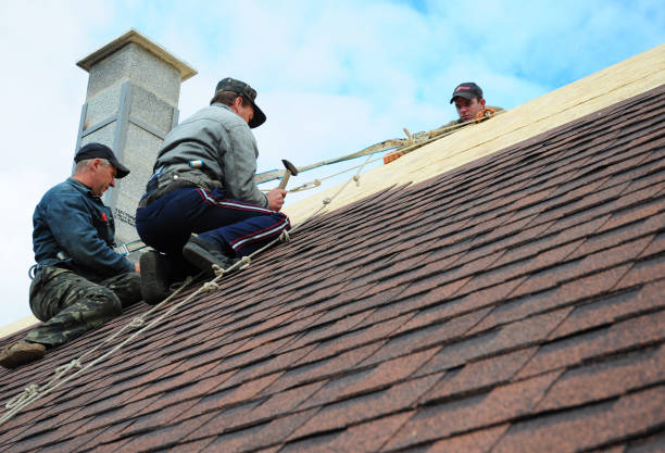 Best Gutter Installation and Roofing  in Barker Heights, NC